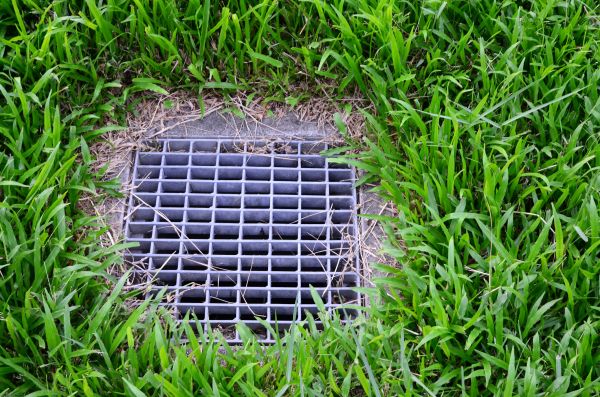 Yard Water Drainage in Greenville