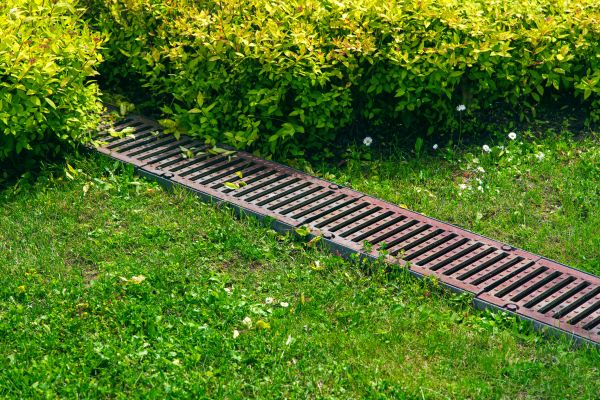 Lawn Drainage in Greenville
