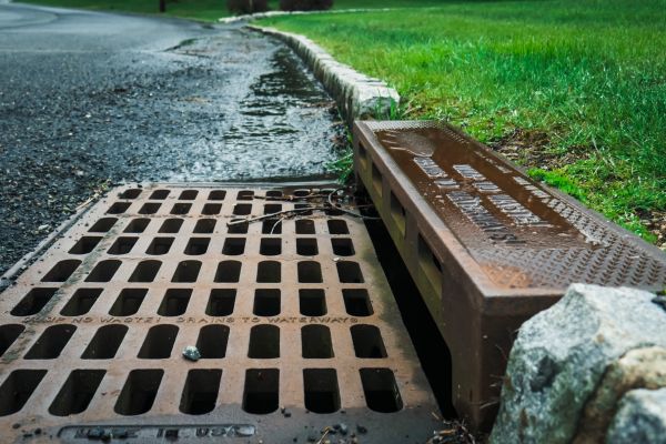 Cost of Storm Drain Repair in Greenville
