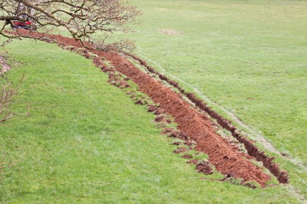 Cost of Swale Installation in Greenville